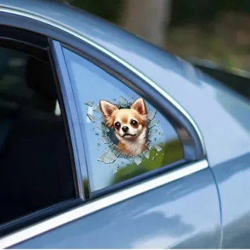 Exporanto Chiuahua Araç Stickerı