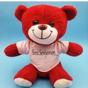 Exporanto Kırmızı Ayıcık Seni Seviyorum Tişörtlü