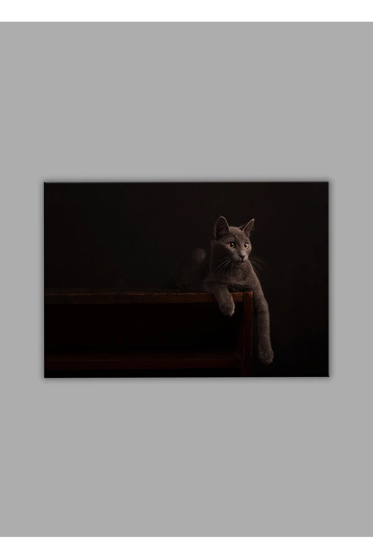 BALERA Kedi 02 Cam Tablo görsel 2