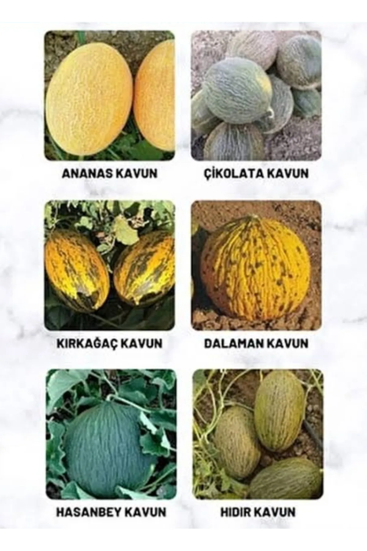 Tarımsal ve Hayvansal Ürünler 1500 Adet Karışık Cinste Köylü Kavunu Ata Tohumu