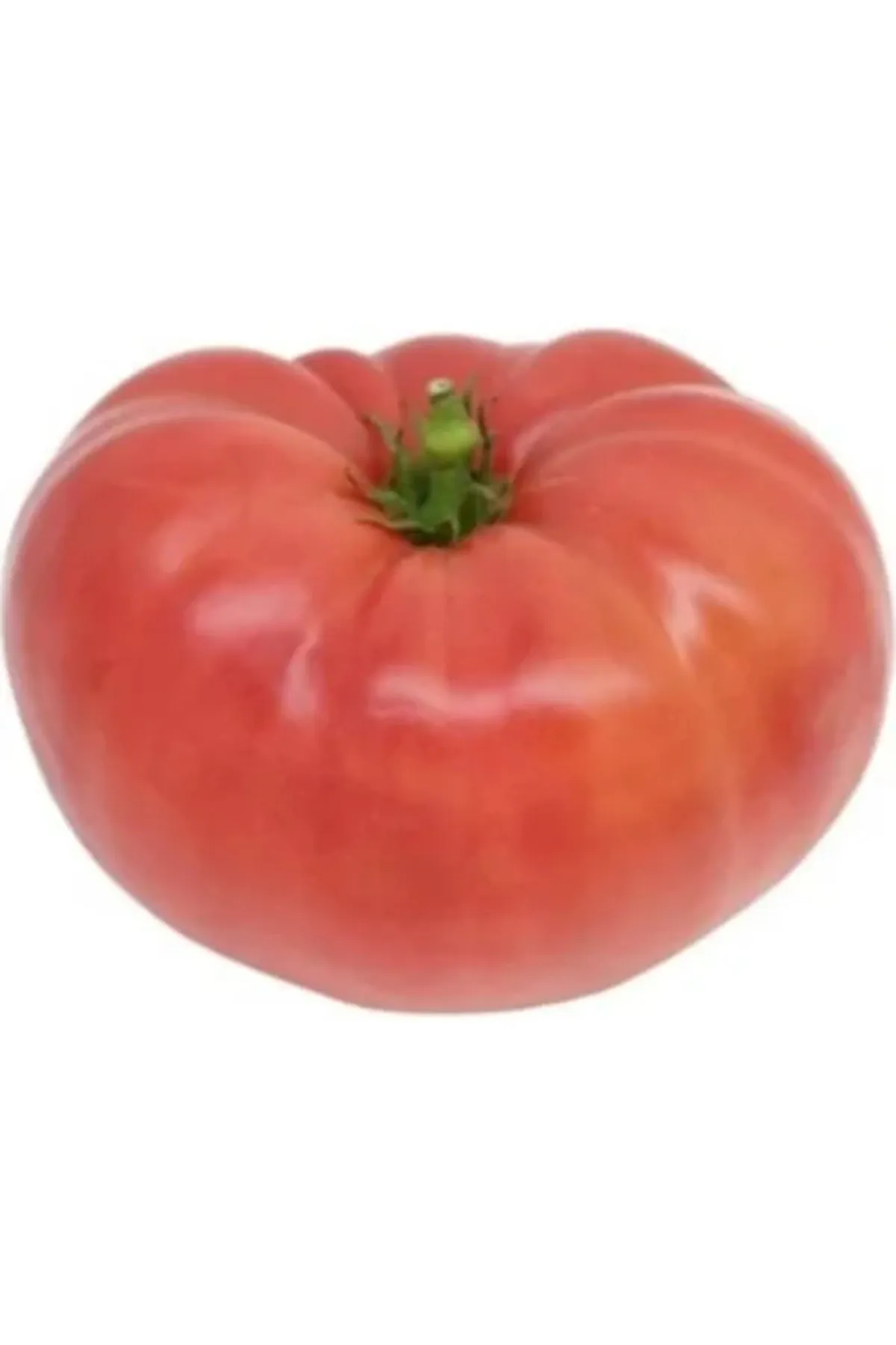 Tarımsal ve Hayvansal Ürünler 500 Adet Köylü Domatesi Tohumu görsel 4