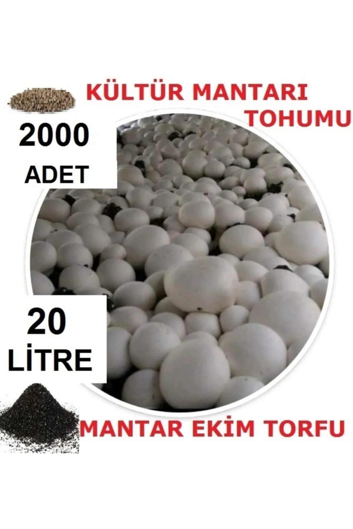 Tarımsal ve Hayvansal Ürünler	20 Litre Ekim Torfu Ve 2000 Adet Kültür Mantarı Tohumu Ile Eğitim Kılavuzu
