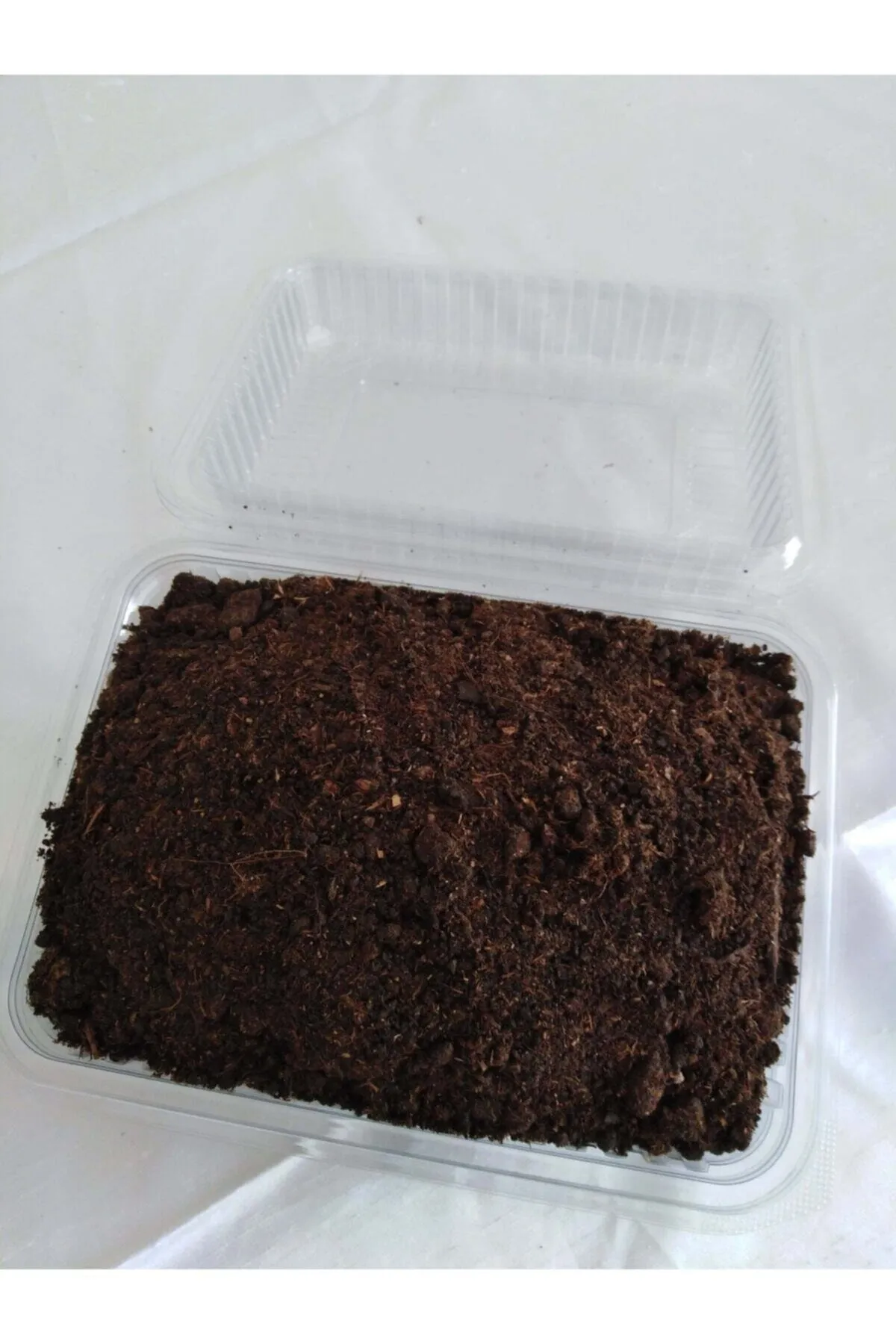 Tarımsal ve Hayvansal Ürünler	Kültür Mantarı Tohumu Ekili Kutu + Eğitim Kılavuzu görsel 3