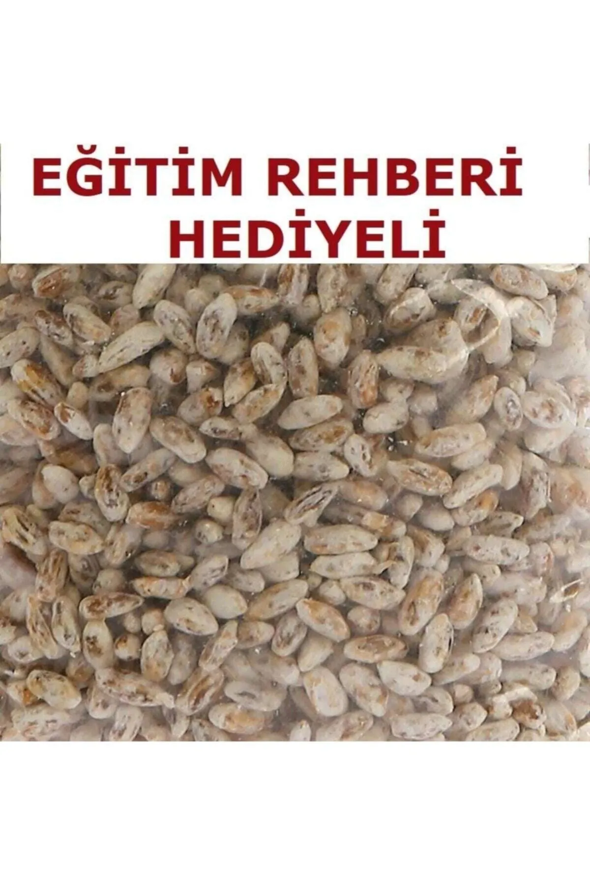 Tarımsal ve Hayvansal Ürünler	100 gr Kültür Mantarı Tohumu Ve 12 Litre Kültür Mantarı Kompostu (MANTAR EKİM TORFU) Ve Kılavuz görsel 3
