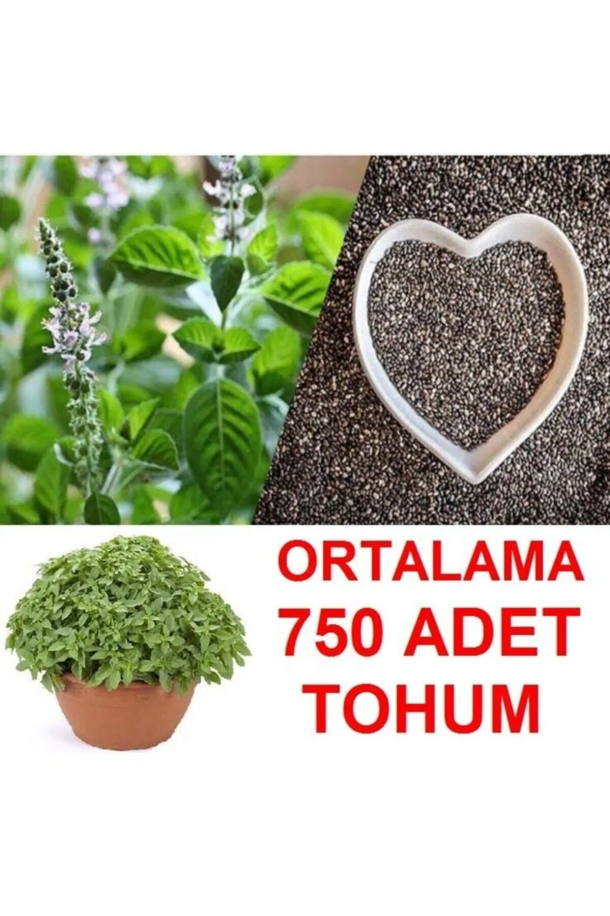 Tarımsal ve Hayvansal Ürünler	Ortalama 750 Adet Yeşil Top Reyhan Tohumu