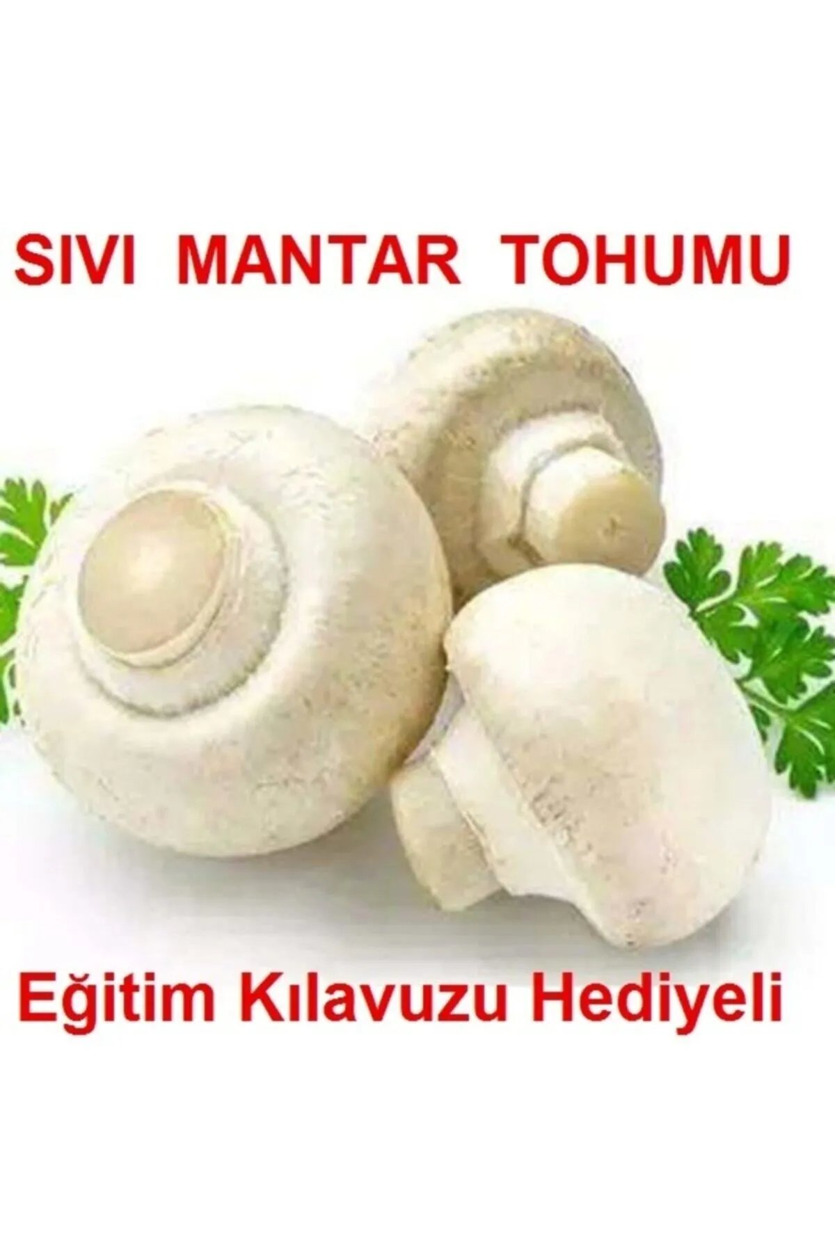 Tarımsal ve Hayvansal Ürünler 100 Ml Beyaz Şapkalı Kültür Mantarı Miseli (mantar Tohumu)