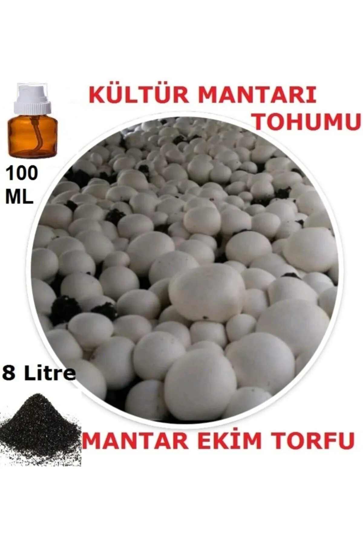 Tarımsal ve Hayvansal Ürünler 100 Ml Kültür Mantarı Tohumu + 8 Lt Mantar Ekim Torfu (başka Bir Şeye Gerek Yok)