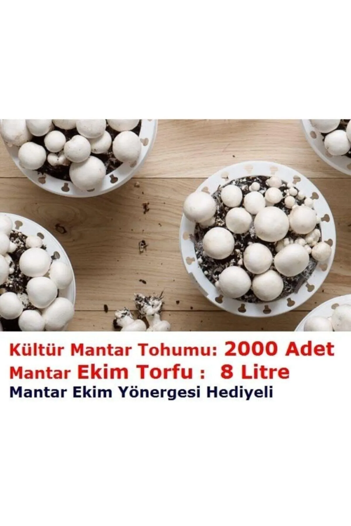 Tarımsal ve Hayvansal Ürünler	2000 Adet Beyaz Şapkalı Kültür Mantarı Tohumu + 12 Litre Mantar Ekim Torfu Ve Mantar Ekim Yönergesi