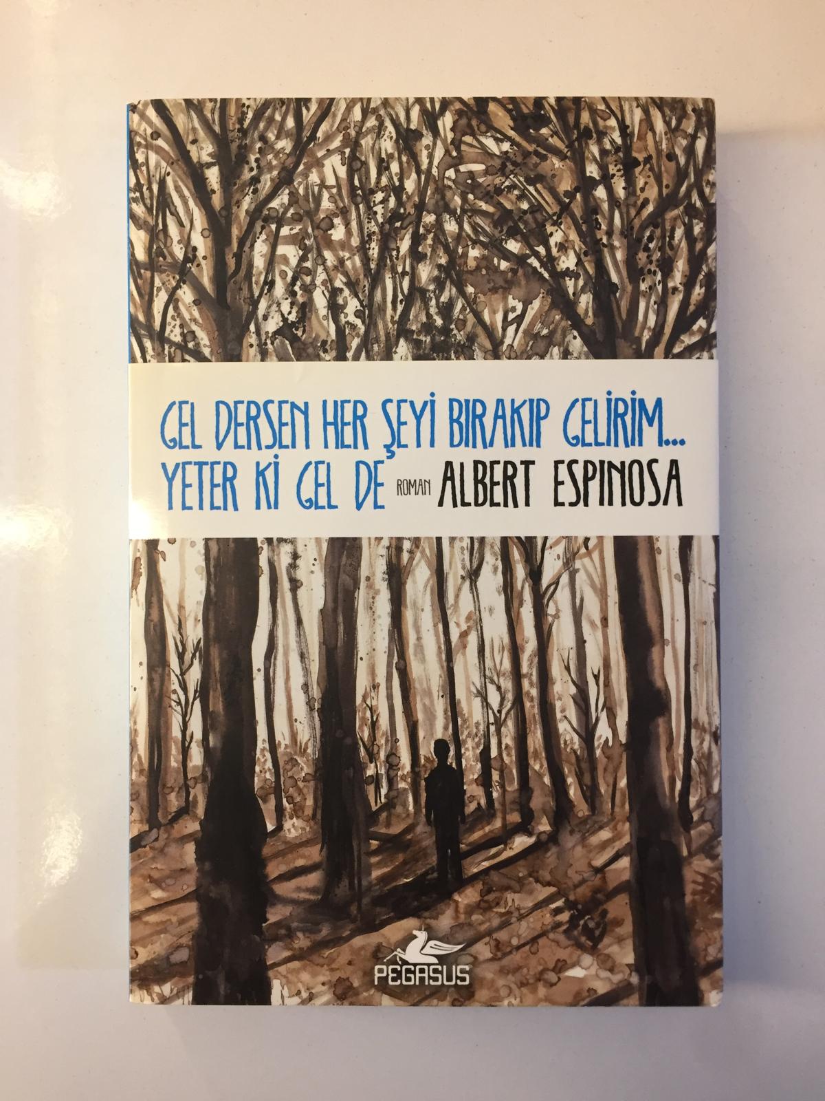 Gel Dersen Her Şeyi Bırakıp Gelirim... Yeter ki Gel de - Albert Espinosa