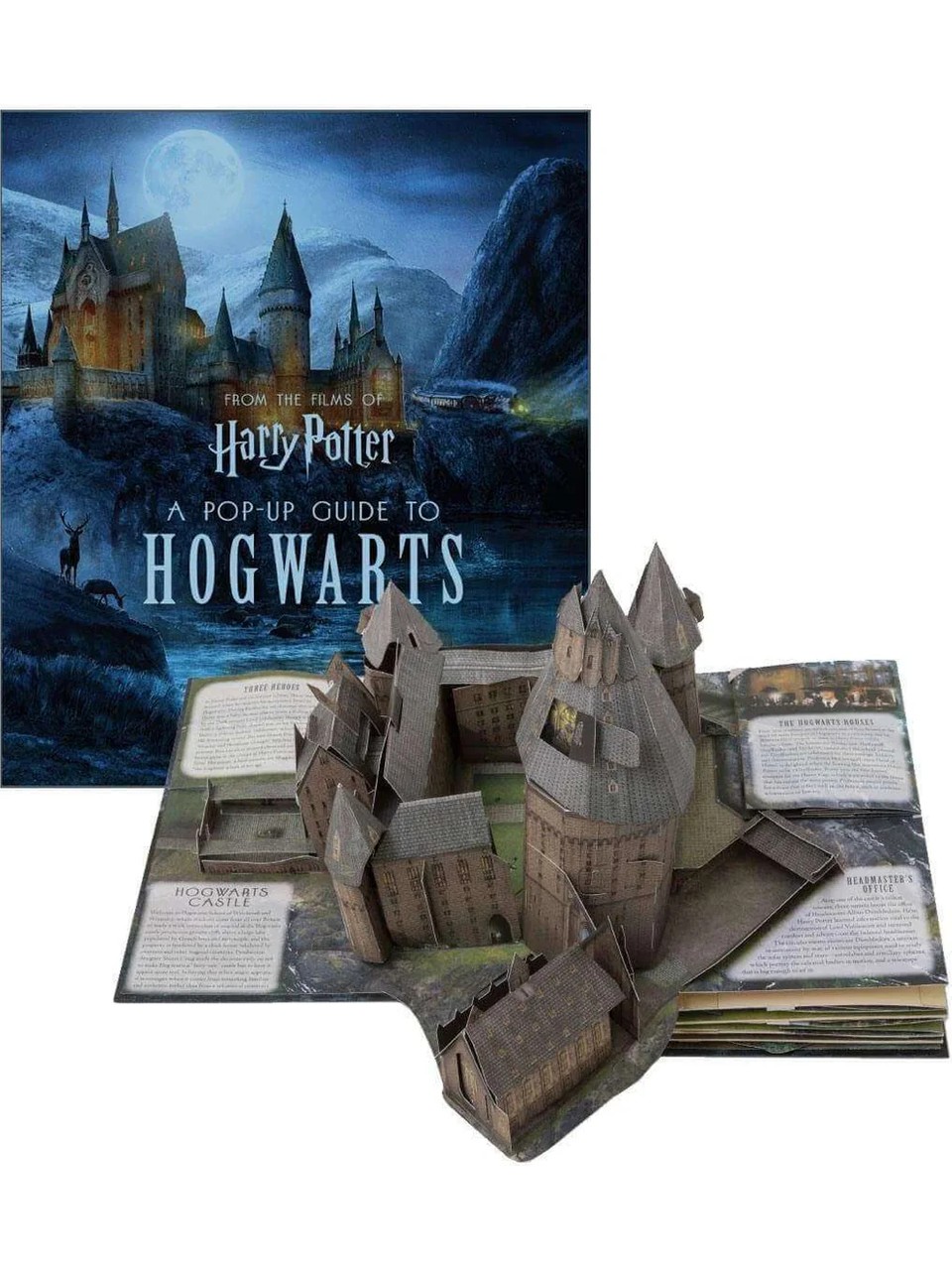 JÜPİTER OYUNCAK Harry Potter: A Pop-Up Guide to Hogwarts ciltli kitap - Kevin Wilson görsel 8