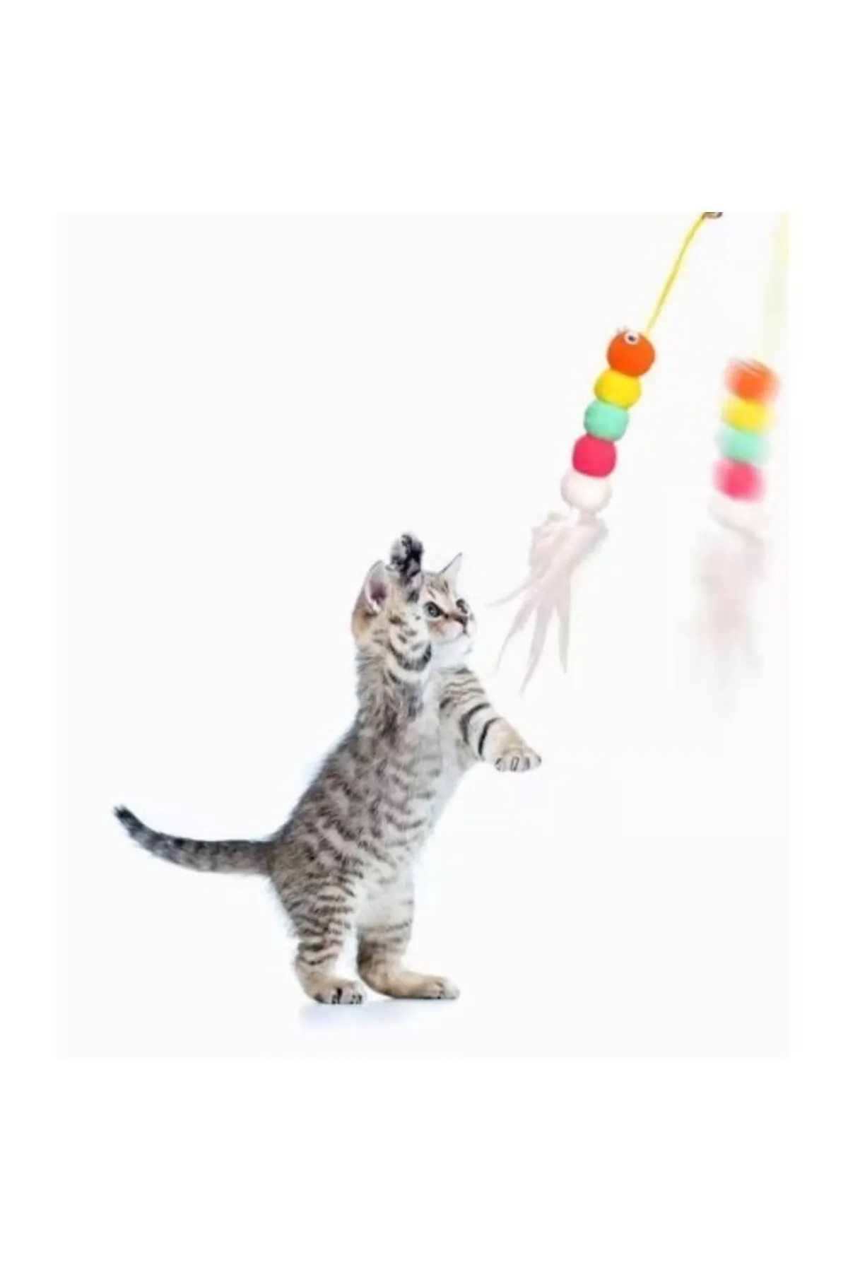 Elastik Yapışkanlı Kedi Oyun Oltası
