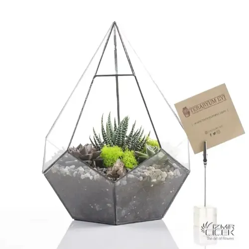 Derin Flowers Geometrik Terrarium