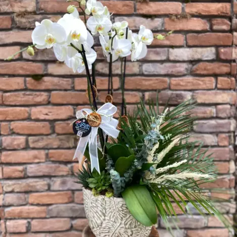 Derin Flowers Beyaz Tutku