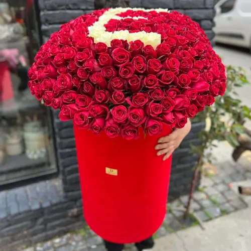 Derin Flowers Mega Kutu 301 Gül