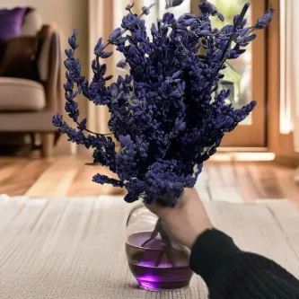 SavBrand Mor Kokulu Özel Lavanta - Mor Kokulu Lavanta 1 Demet