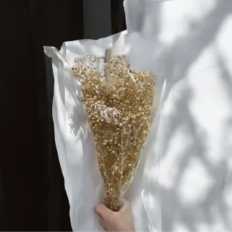 SavBrand Krem Yapay Çiçek Cipso, Kuru Çiçek Dalları Krem Cipso Süsleme