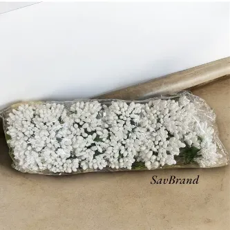 SavBrand Kar Beyazı,  Beyaz Pıtırcık Cipso Nikah Şekeri Süsleme Tohum (1 Paket 144 Lü )