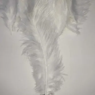 SavBrand Kuş Tüyü Beyaz 100'lü
