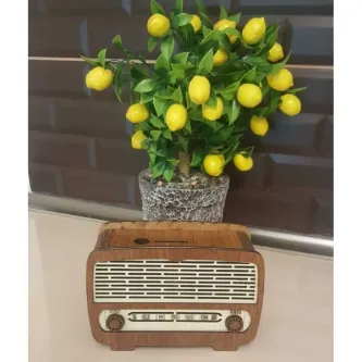 MYK HEDİYE VE SANAT ATÖLYESİ  Ahşap Dekoratif Radyo Kumbara