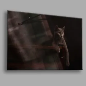 BALERA Kedi 02 Cam Tablo