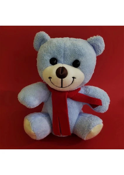 Exporanto Öğretmenler Günü Hediyesi Peluş Ayıcık görsel 5