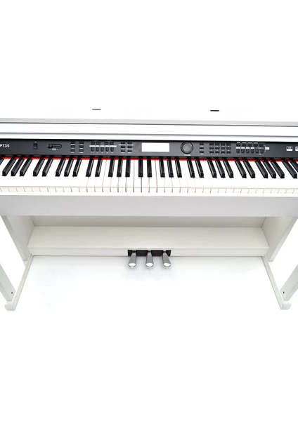 Exporanto Dominguez Dijital (Silent) Piyano DP735WH görsel 4