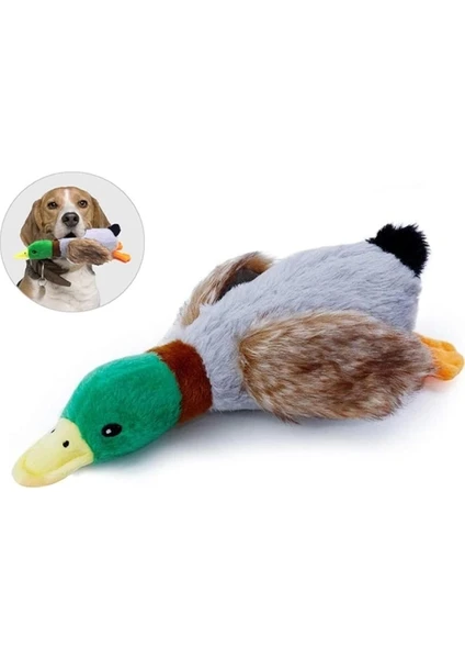 Exporanto Sesli Ördek Şekilli Peluş Köpek Oyuncağı görsel 5