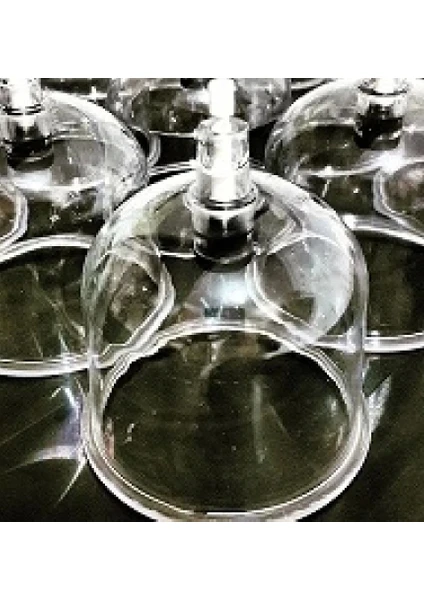 Exporanto 7 Numara Hacamat Kupası Seti 100 Adet görsel 2