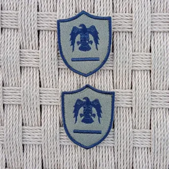 İzmir Askeri Malzeme 2 Adet Havacı Asteğmen Gri Zemin Kartal Nakışlı Mini T-shirt Arma Patch Peç