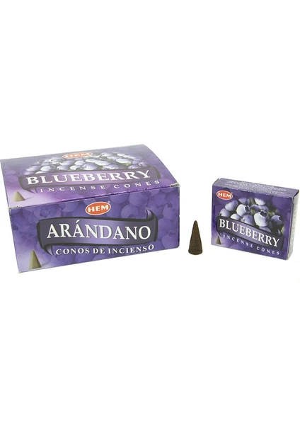 Exporanto Blueberry Cones görsel 2